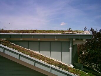 Schrägdach‑Dachbegrünung mit spezieller Schubsicherung, optimaler Entwässerung und klimaaktiver Bepflanzung.