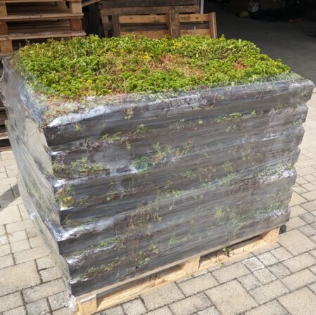 o‑it‑yourself Dachbegrünung mit passgenauen Elementen, robustem Aufbau und ökologischen Vorteilen.