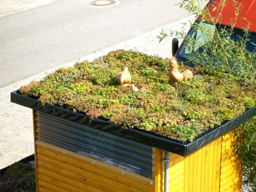 Extensive Dachbegrünung – die leichte, pflegearme Variante