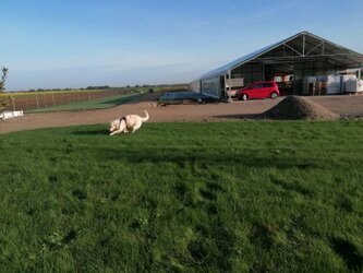 Unser Betrieb Nachhaltiger Familienbetrieb für Dachbegrünung mit eigener Pflanzenproduktion; moderner Standort mit Gewächshaus, Solarstrom‑Nutzung und regional kultivierten Sedum‑ und Staudenpflanzen.