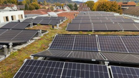 Integrierte Planung von Solarmodulen und Dachbegrünung zur Kombination aus nachhaltiger Energieerzeugung, Kühlung und ökologischer Dachnutzung.