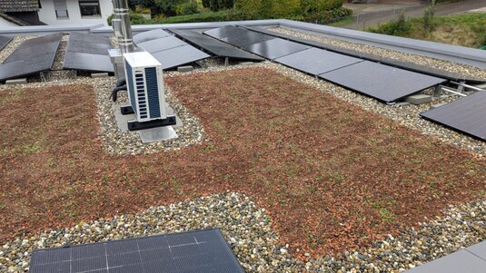 Kombination aus Dachbegrünung und Photovoltaik, dicht wachsendes Sedum unterstützt Temperaturmanagement und steigert die Leistungsfähigkeit der PV‑Module.
