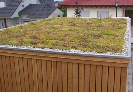 Sedumdach mit widerstandsfähigen, trockenheitsverträglichen Sedum-Arten: langlebige, pflegearme Dachbegrünung für Flach- und Schrägdächer.