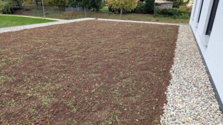 Dachbegrünung im Selbstbau mit klarer Schritt‑für‑Schritt‑Struktur, langlebigen Materialien und klimaaktiver Bepflanzung.