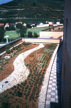 Intensive Gründächer bieten erweiterte Nutzungsmöglichkeiten, hohe Biodiversität und langlebige ökologische Mehrwerte für moderne Architektur.