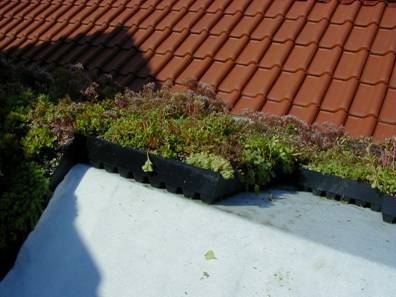 Leichtes Gründach‑Modul GreenBox – ideal für kleine Dächer und Blechgaragen und Carports mit Trapezblech.